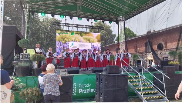 E.ART | FERAJNA NA PRZEGLĄDZIE